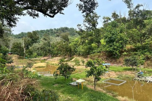 Tanah Kuala Kubu Bharu