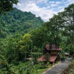 Buloh Telor Kuala Kubu