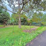 Kampung Lukut Kota Tinggi