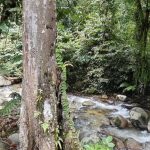 Ulu Yam Hulu Selangor