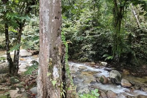 Ulu Yam Hulu Selangor