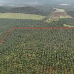 Development Land Padang Serai