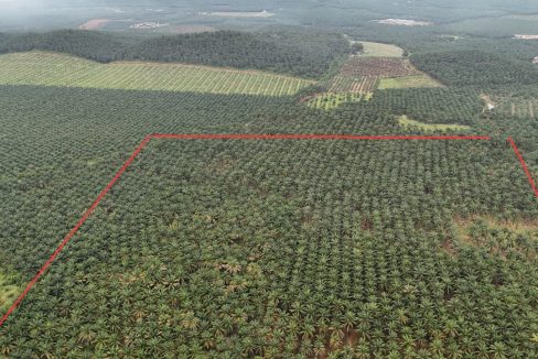 Development Land Padang Serai