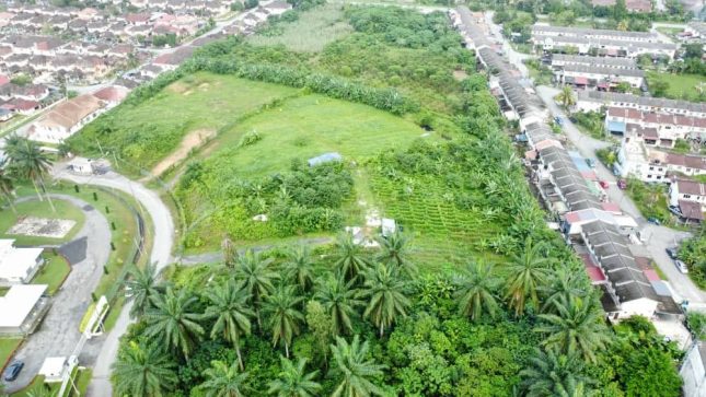 Taman Tasik Semenyih Broga