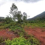 Desa Haneco Sungai Lalang