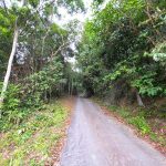 Bukit Sepetir Seri Menanti