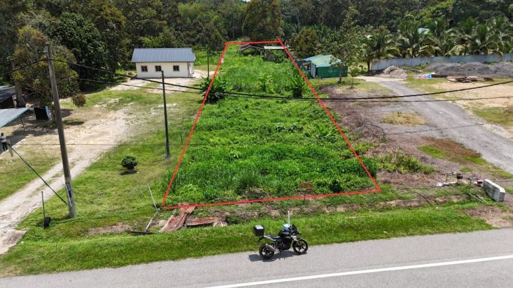 Tanah Tepi Jalan Bentong Pahang
