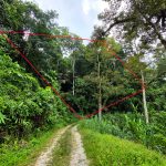 Tanah Kebun Segambir Hulu Langat