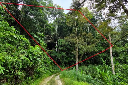 Tanah Kebun Segambir Hulu Langat