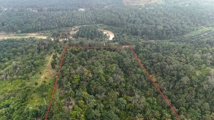 Hulu Ijok Selama Perak