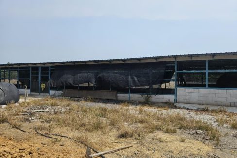 Agriculture land Sungai Yu Kuala Selangor