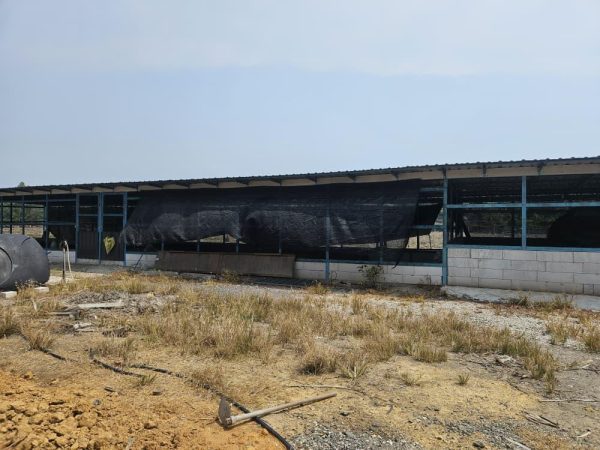 Agriculture land Sungai Yu Kuala Selangor